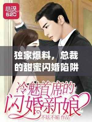 独家爆料，总裁的甜蜜闪婚陷阱！