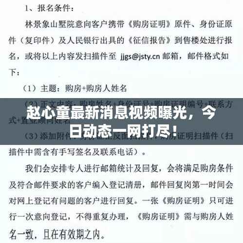 赵心童最新消息视频曝光,今日动态一网打尽!
