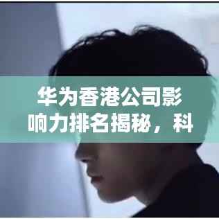 华为香港公司影响力排名揭秘,科技巨头地位不容小觑