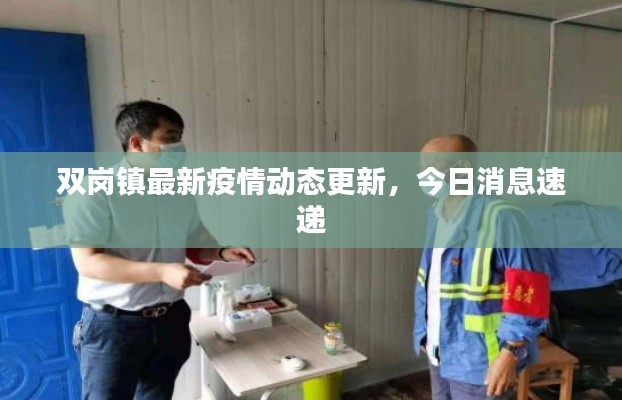 双岗镇最新疫情动态更新,今日消息速递