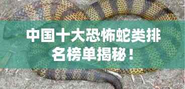 中国十大恐怖蛇类排名榜单揭秘！