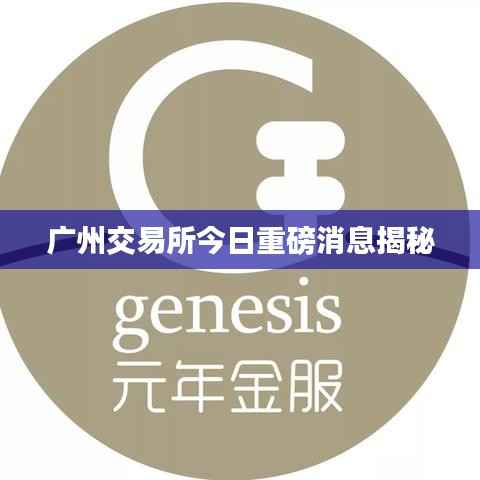 广州交易所今日重磅消息揭秘