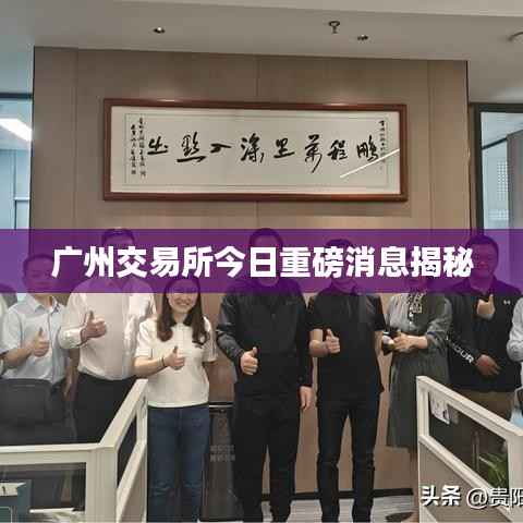 广州交易所今日重磅消息揭秘