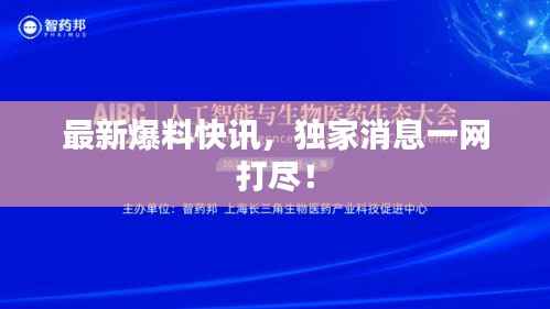 最新爆料快讯,独家消息一网打尽!