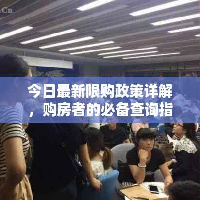 今日最新限购政策详解，购房者的必备查询指南