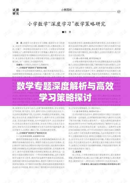 数学专题深度解析与高效学习策略探讨