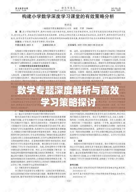 数学专题深度解析与高效学习策略探讨