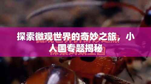 探索微观世界的奇妙之旅,小人国专题揭秘