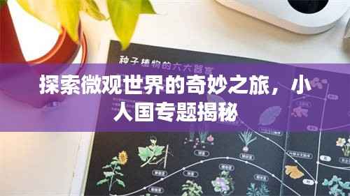探索微观世界的奇妙之旅,小人国专题揭秘