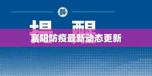 襄阳防疫最新动态更新