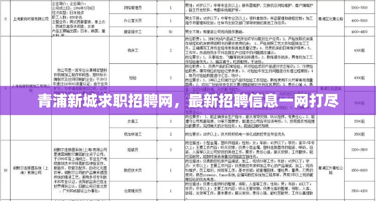 青浦新城求职招聘网,最新招聘信息一网打尽
