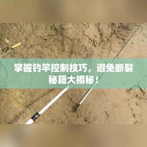 掌握钓竿控制技巧,避免断裂秘籍大揭秘!