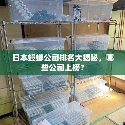 日本蟑螂公司排名大揭秘,哪些公司上榜?