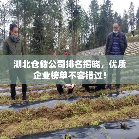 湖北仓储公司排名揭晓，优质企业榜单不容错过！