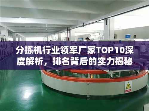 分拣机行业领军厂家TOP10深度解析,排名背后的实力揭秘!