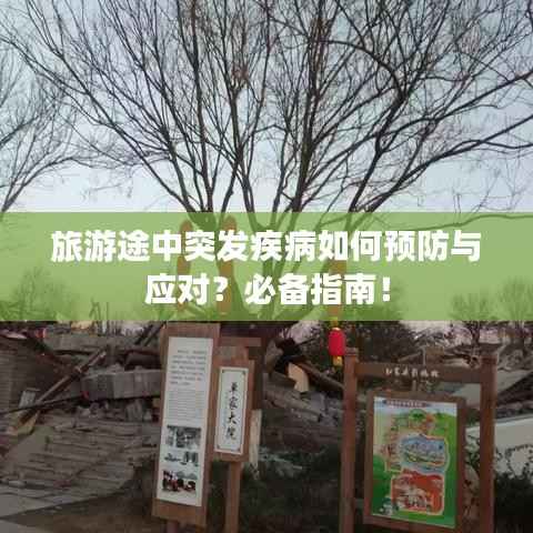 旅游途中突发疾病如何预防与应对？必备指南！
