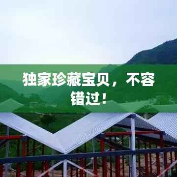 独家珍藏宝贝,不容错过!