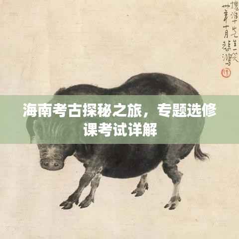 海南考古探秘之旅,专题选修课考试详解