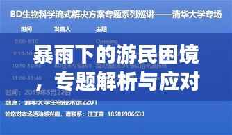 暴雨下的游民困境，专题解析与应对策略