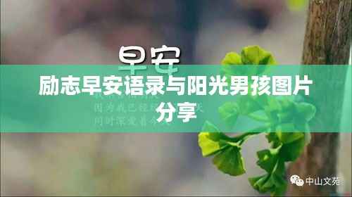 励志早安语录与阳光男孩图片分享