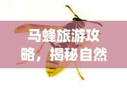 马蜂旅游攻略，揭秘自然奥秘之旅