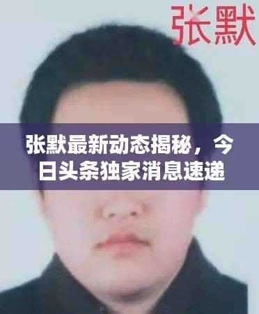 张默最新动态揭秘，今日头条独家消息速递！