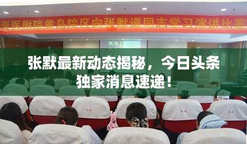 张默最新动态揭秘,今日头条独家消息速递!