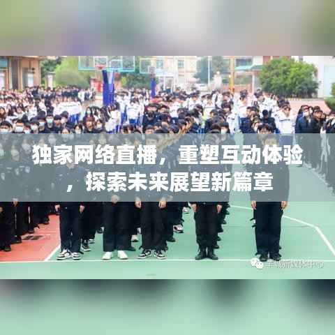 独家网络直播,重塑互动体验,探索未来展望新篇章