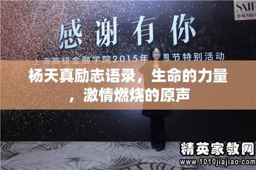 杨天真励志语录，生命的力量，激情燃烧的原声