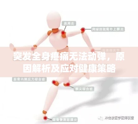 突发全身疼痛无法动弹,原因解析及应对健康策略