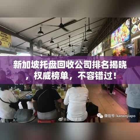 新加坡托盘回收公司排名揭晓,权威榜单,不容错过!