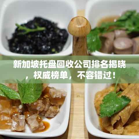 新加坡托盘回收公司排名揭晓,权威榜单,不容错过!