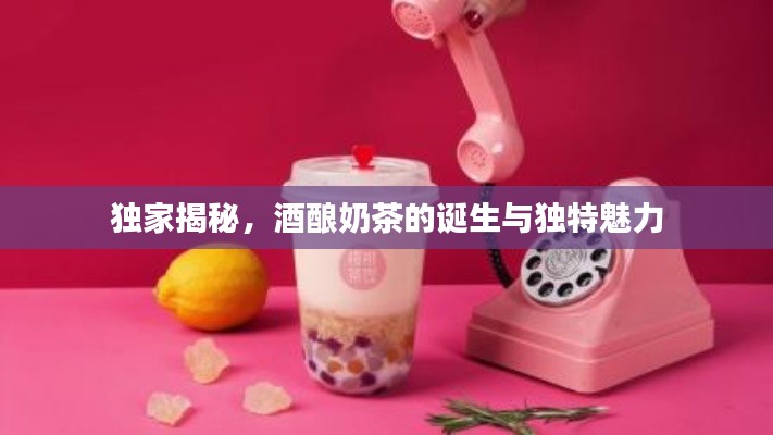 独家揭秘,酒酿奶茶的诞生与独特魅力