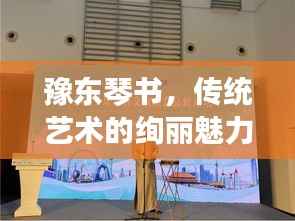 豫东琴书,传统艺术的绚丽魅力,带你领略独特风采——百度收录呈现