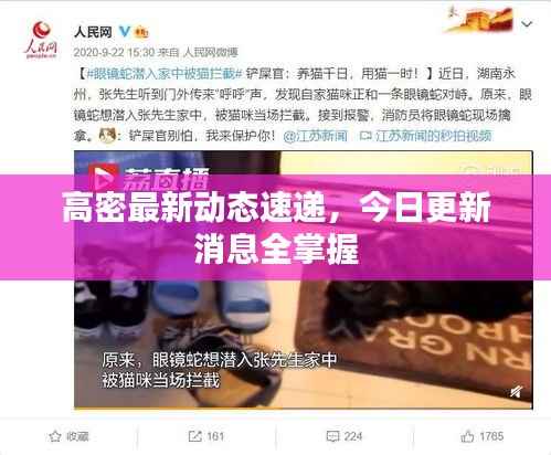高密最新动态速递，今日更新消息全掌握