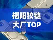 揭阳铰链大厂TOP10排行榜,行业领军者一览无余