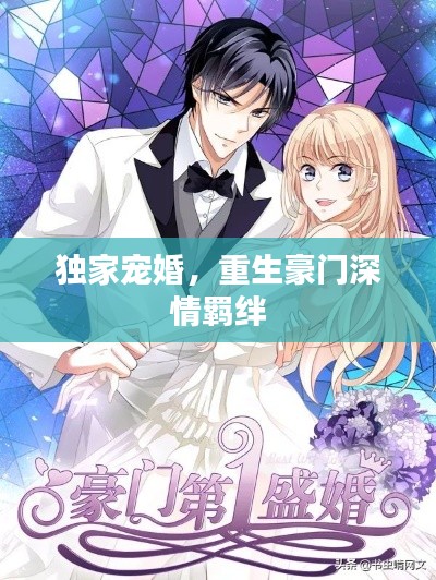 独家宠婚，重生豪门深情羁绊