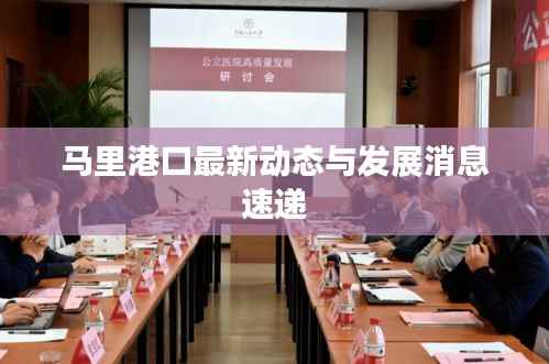 马里港口最新动态与发展消息速递