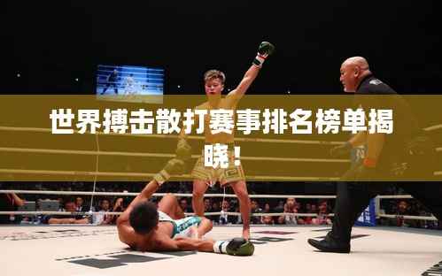 世界搏击散打赛事排名榜单揭晓!
