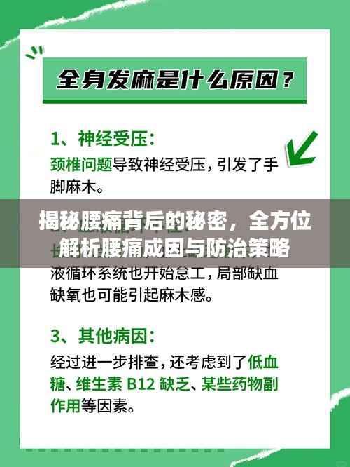 落土飞岩 第3页