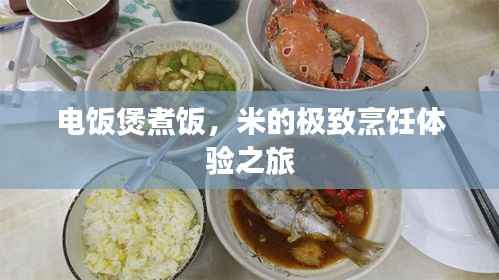 电饭煲煮饭，米的极致烹饪体验之旅
