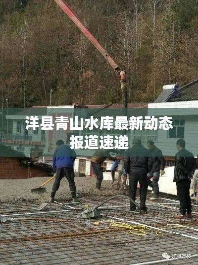 洋县青山水库最新动态报道速递
