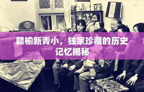 赣榆新青小,独家珍藏的历史记忆揭秘