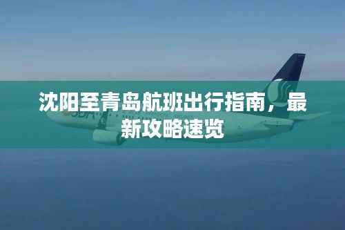 沈阳至青岛航班出行指南,最新攻略速览