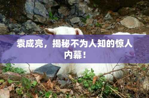 新闻中心 第79页