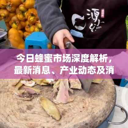 今日蜂蜜市场深度解析,最新消息、产业动态及消费者关注点一网打尽