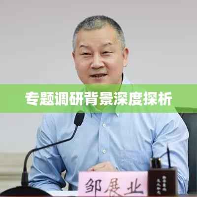 专题调研背景深度探析