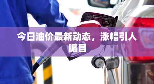 今日油价最新动态，涨幅引人瞩目