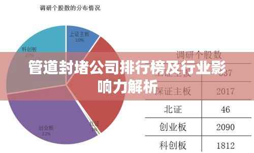 管道封堵公司排行榜及行业影响力解析