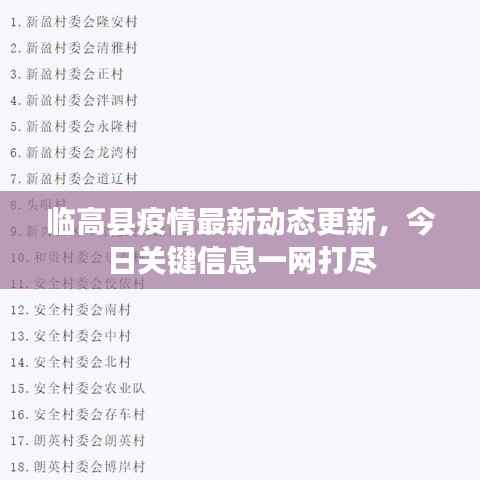 临高县疫情最新动态更新,今日关键信息一网打尽